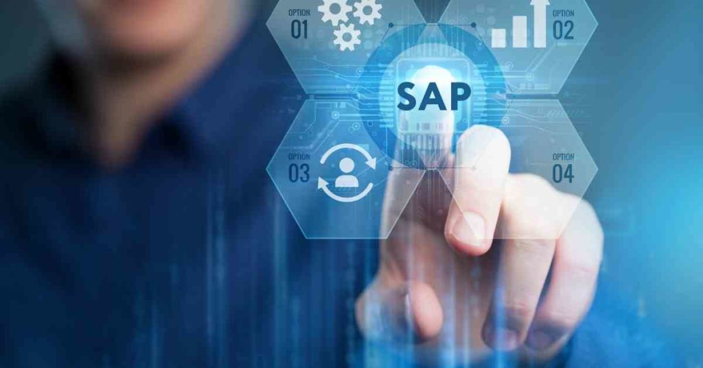 SAP: tipos de software de mantenimiento